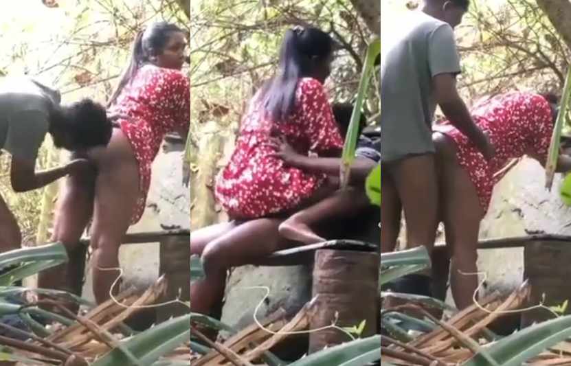 Gf Fucking in Jungle XXX Sex Video porn